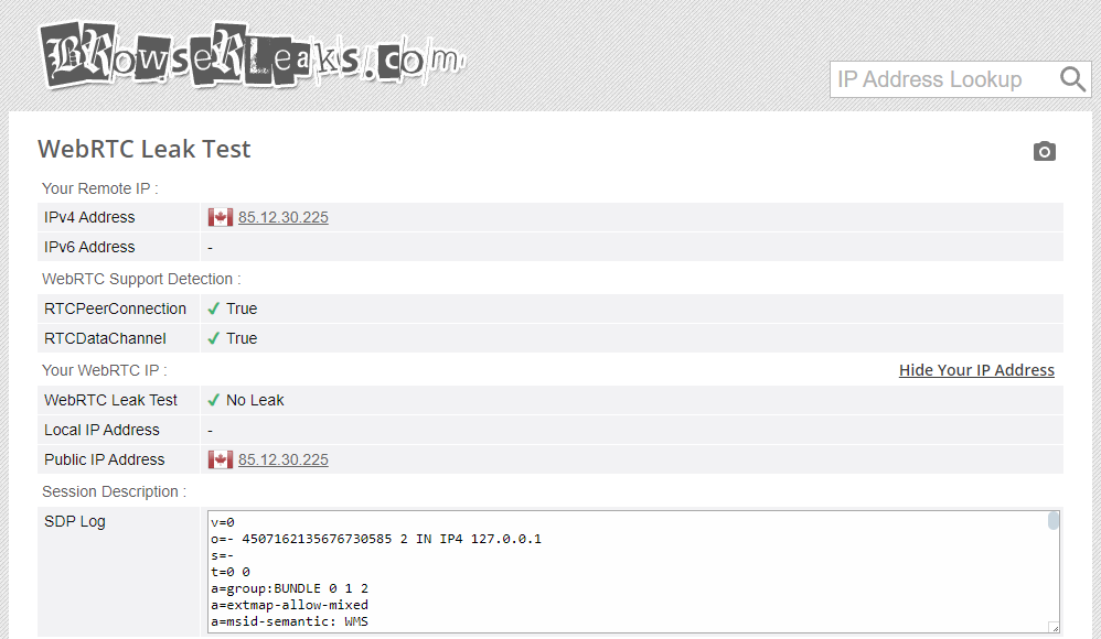 Browserleak test